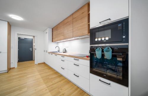 Janske Lazne Apartamento | Apartmány Rezidence Lyžařská