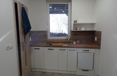 Pribram Apartamento | Apartmány Skala