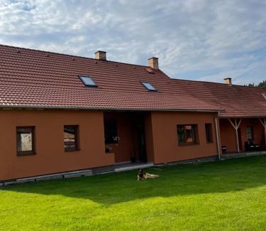 Drazic Apartamento | Apartmány Turkovna