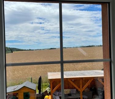 Drazic Apartamento | Apartmány Turkovna