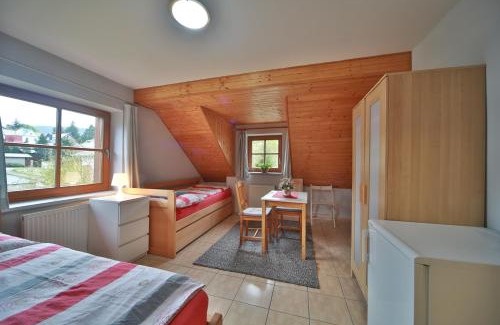 Zelezna Ruda Apartamento | Apartmány U šneka