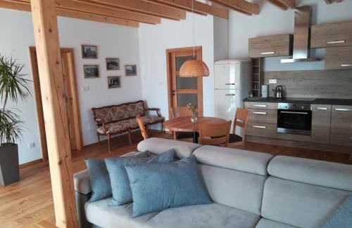 Roznov Pod Radhostem Apartamento | Apartmány U Holubů