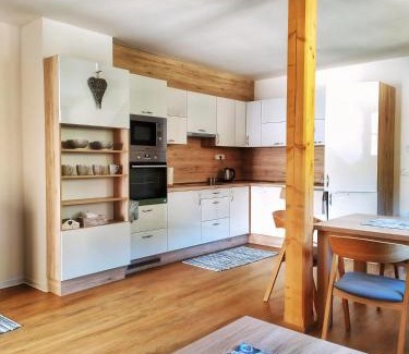 Velke Karlovice Apartamento | Apartmány u Ivanky, Polanský dvůr 1149