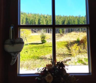 Velke Karlovice Apartamento | Apartmány u Ivanky, Polanský dvůr 1149
