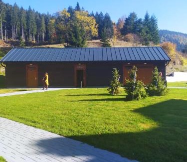 Velke Karlovice Apartamento | Apartmány u Ivanky, Polanský dvůr 1149