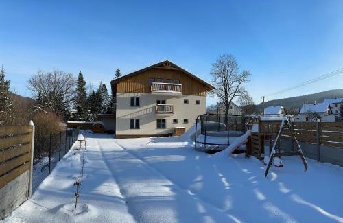 Lipova-Lazne Apartamento | Apartmány U Rodinky