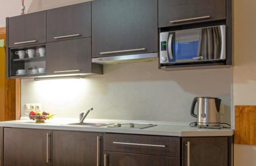 Roznov Pod Radhostem Apartamento | Apartmány Vila Hedvika