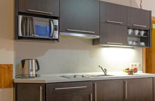 Roznov Pod Radhostem Apartamento | Apartmány Vila Hedvika