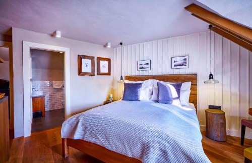 Troja Apartamento | Apartmány Vinice Salabka