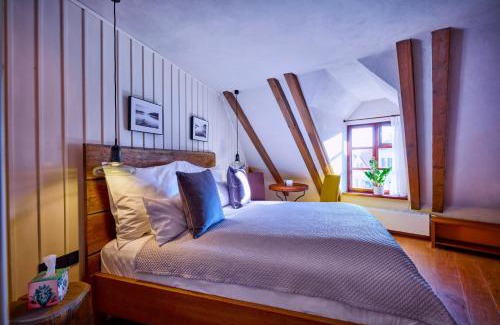 Troja Apartamento | Apartmány Vinice Salabka
