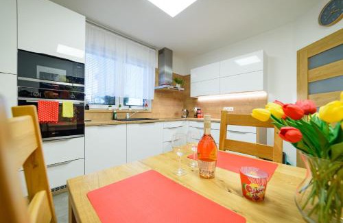 Plana nad Luznici Apartamento | Apartmány Volavka 1