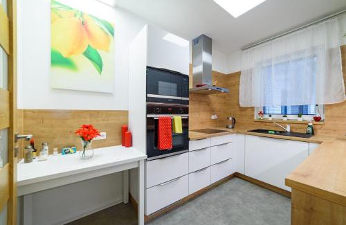 Plana nad Luznici Apartamento | Apartmány Volavka 3