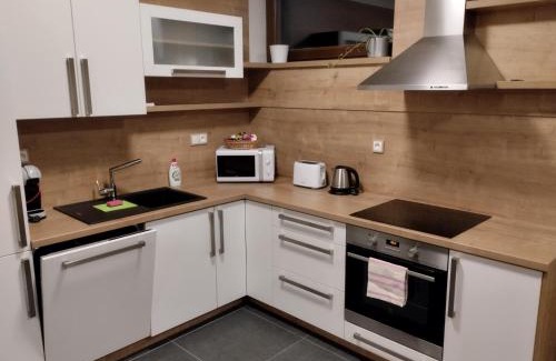 Svoboda nad Upou Apartamento | Apartmány Zlatý Hamr