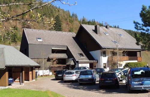 Menzenschwand-Hinterdorf Apartamento | Apartamento para 4 personas C4