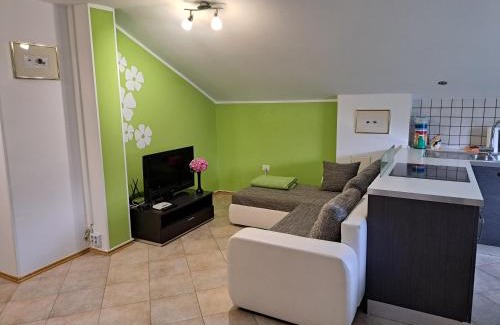 Ciginj Apartamento | Apartma Aneja