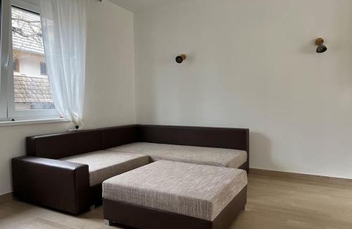 Cezsoca Apartamento | Apartma Gojsa