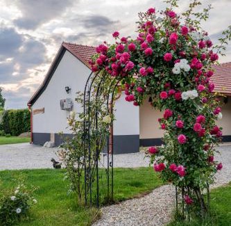 Beltinci Apartamento | Apartma in wellness Čista fantazija