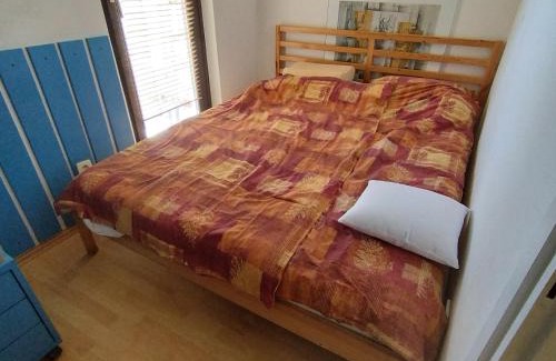 Mareda Apartamento | Apartma Mareda - Novigrad