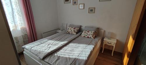Zgornje Jezersko Apartamento | Apartma Vila Kočna