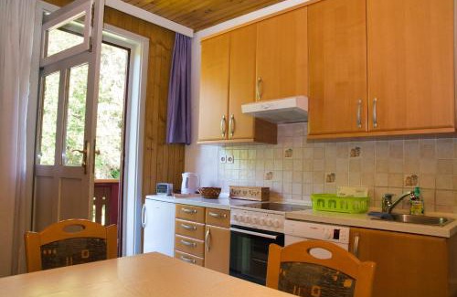 Zgornje Jezersko Apartamento | Apartma Vila Kočna