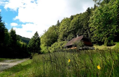 Luce Apartamento | Apartmaji Brložnica pod Veliko planino
