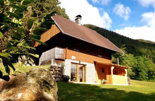 Luce Apartamento | Apartmaji Brložnica pod Veliko planino