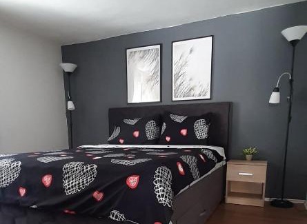 Leskovac Apartamento | Apartman Živković ***