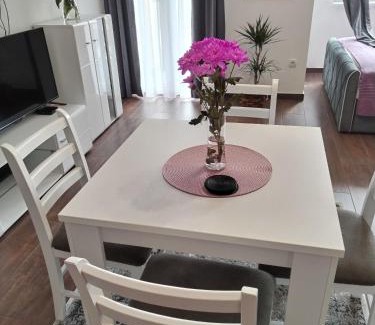 Kragujevac Apartamento | Apartman 007