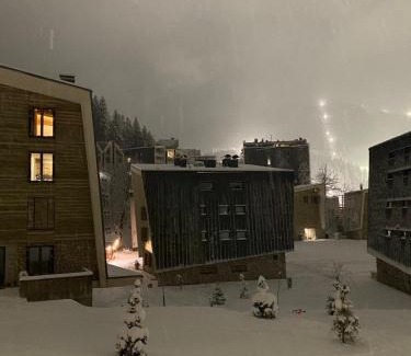 Bjelasnica Apartamento | ApartMaN 11,free garage,ski to door