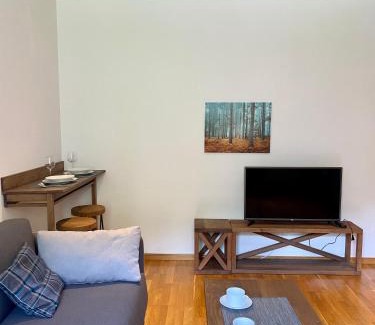 Kopaonik Apartamento | Apartman 20, Brzeće Centar