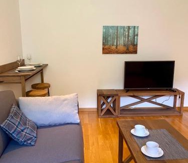 Kopaonik Apartamento | Apartman 20, Brzeće Centar