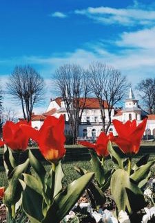 Banja Koviljaca Apartamento | Apartman 21 Banja Koviljača