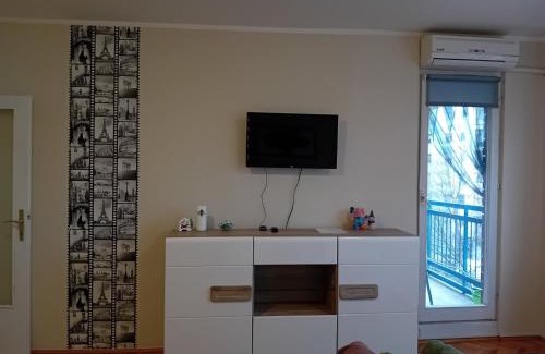 Zajecar Apartamento | Apartman A-1
