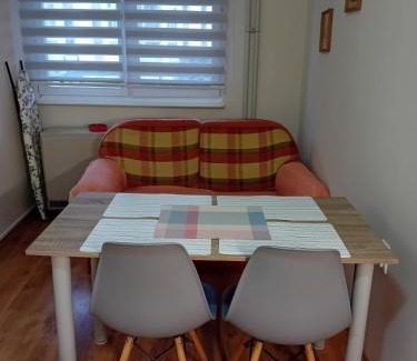 Zajecar Apartamento | Apartman A-1