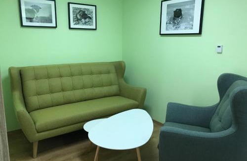 Velky Slavkov Apartamento | Apartman AiA
