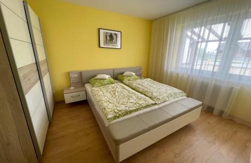 Velky Slavkov Apartamento | Apartman AiA