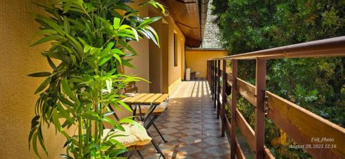 Becej Apartamento | Apartman Aleksandra