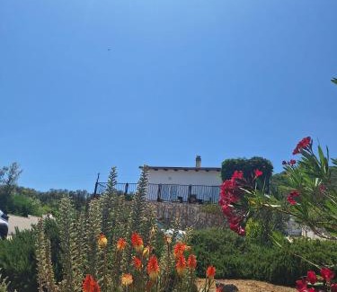 Drace Apartamento | Apartman Alemka