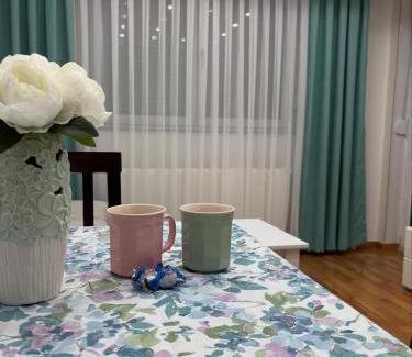 Doboj Apartamento | Apartman Andjela Doboj