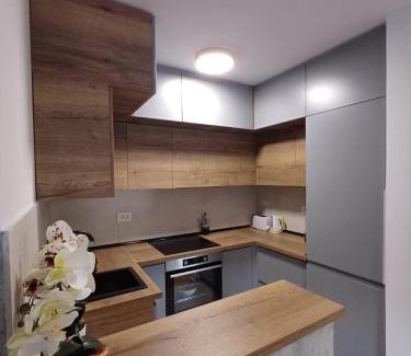 Arandelovac Apartamento | Apartman ARISTEA