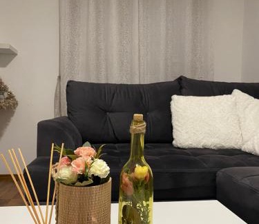 Babanovac Apartamento | Apartman Arya Vlasic