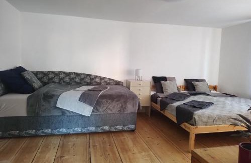 Nove Mesto pod Smrkem Apartamento | Apartman BALA