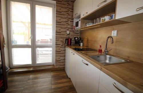 Velky Slavkov Apartamento | Apartman Baska