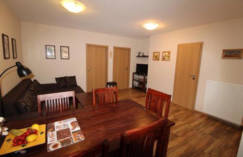 Velky Slavkov Apartamento | Apartman Baska
