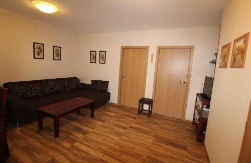 Velky Slavkov Apartamento | Apartman Baska