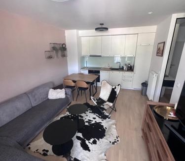 Bjelasnica Apartamento | Apartman Bjelašnica