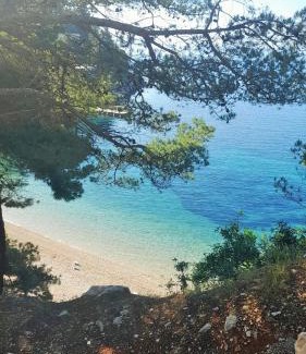 Gdinj Apartamento | Apartman Bonkovic