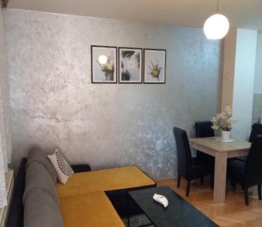 Bijeljina Apartamento | Apartman Central