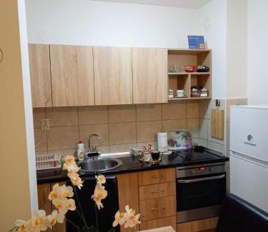 Bijeljina Apartamento | Apartman Central