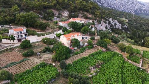 Orebic Apartamento | Apartman Dani